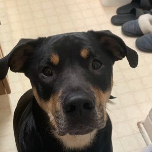 Meet your Posher, Hannah